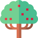 Strawberry tree