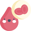 Blood cells 