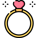 anillo icon