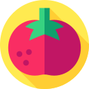 tomate icon