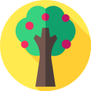 Árbol 