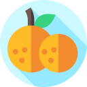 naranjas icon