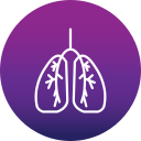 pulmones icon