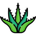 aloe vera icon