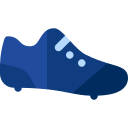 zapatos icon