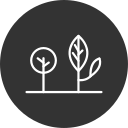 naturaleza icon