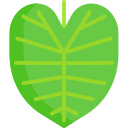 colocasia icon