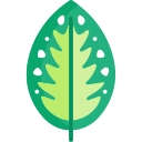 dieffenbachia icon