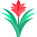 bromelia icon