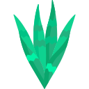 sansevieria icon