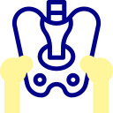 pelvis icon