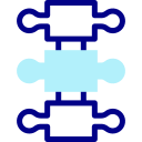 columna vertebral