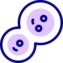 mitosis icon