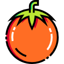 tomate icon