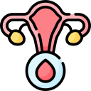 menstruación icon