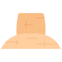 sombrero icon