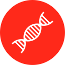 Dna structure icon