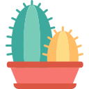 cactus icon