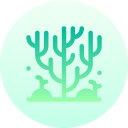 coral icon