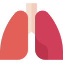 pulmones