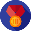 medalla de bronce icon