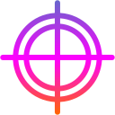 Aim 