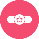 distintivo icon