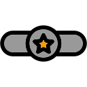 distintivo icon