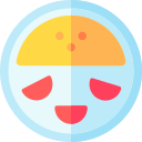 tortilla icon