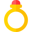 anillo icon