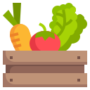 verduras icon