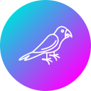 guacamayo icon