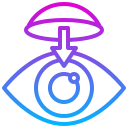 ojo icon