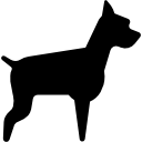 Big Dog icon