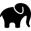 elefante solo 