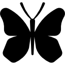 ailes de papillon Icône