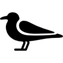 gaviota todavía icon