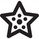 estrella de mar de verano icon