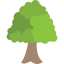 Árvore 