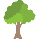 Árbol icon