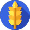 trigo icon