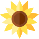 girasol icon