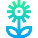 girasol icon