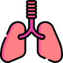 pulmones icon