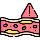 colesterol icon