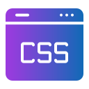 css icon