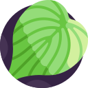 alocasia cucullata icon