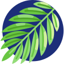 palmier kentia Icône