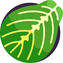 maranta icon