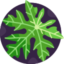 hoja de papaya icon